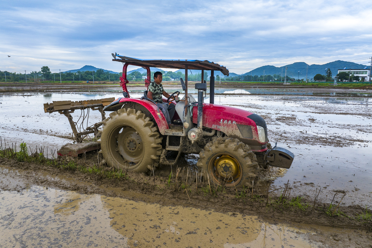 耕地指南：从清理土地到种植作物，一步一步教你如何耕地