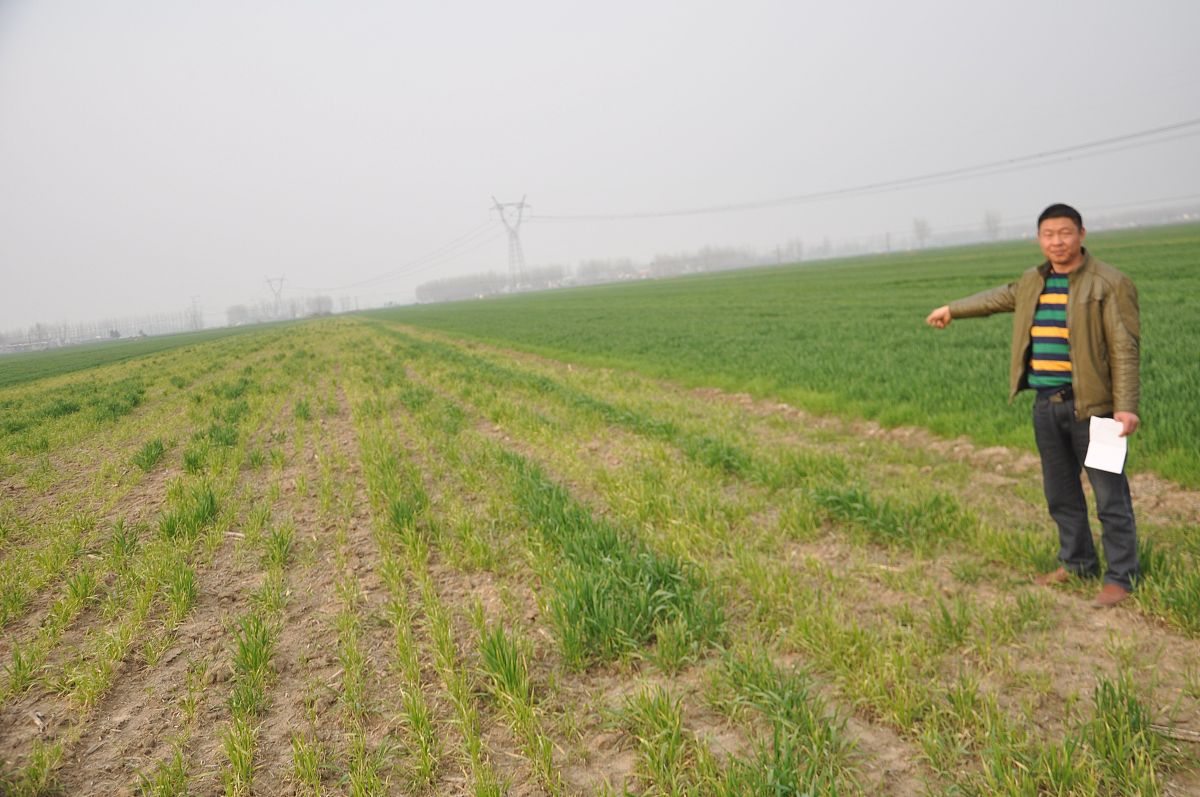 现有一篇主要围绕涡阳大豆对地区脱贫致富的作用的三下乡调研报告请拟定有文采且符合调研报告主题的调研题目