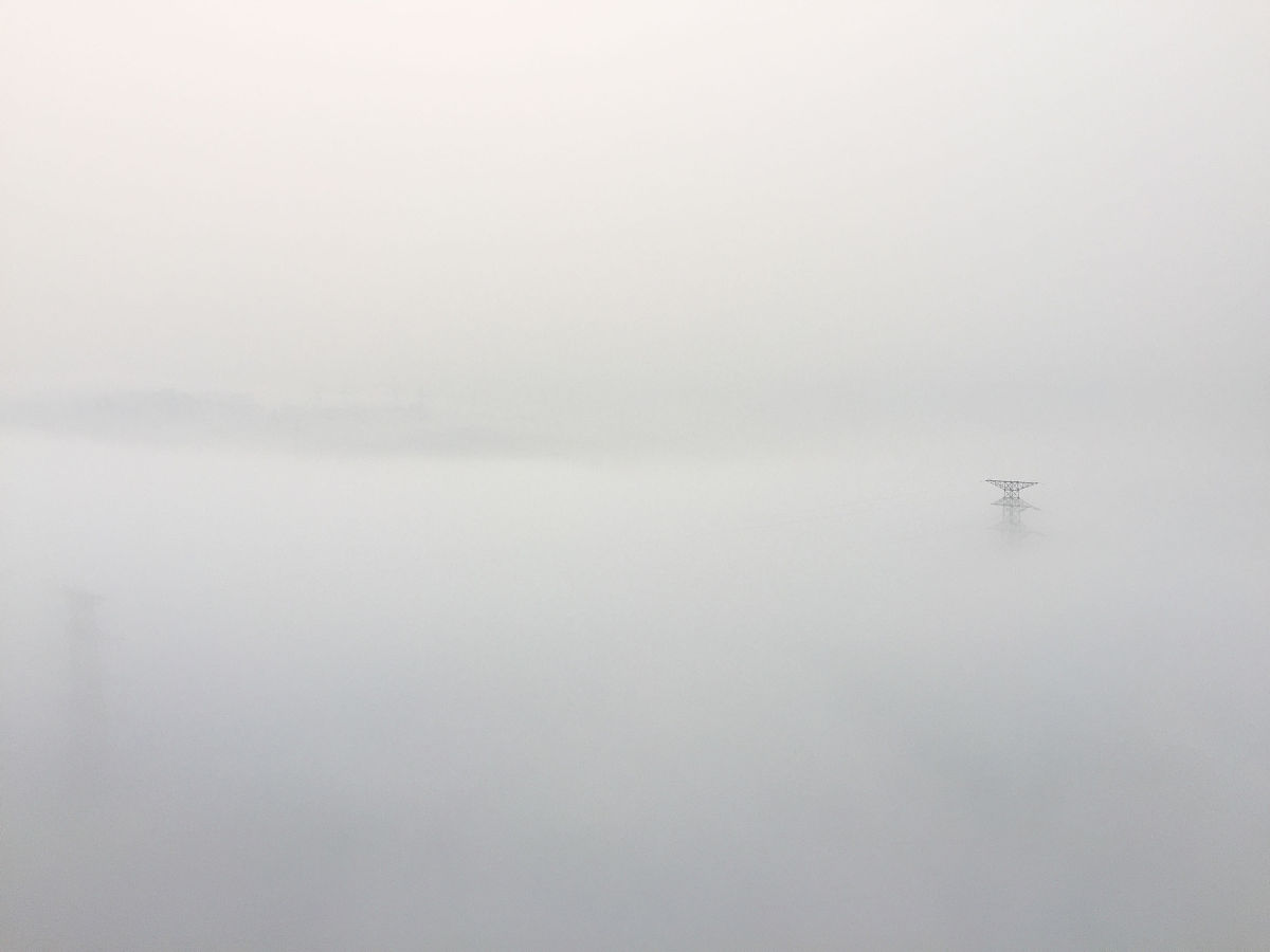 沧海问孤城是什么动物