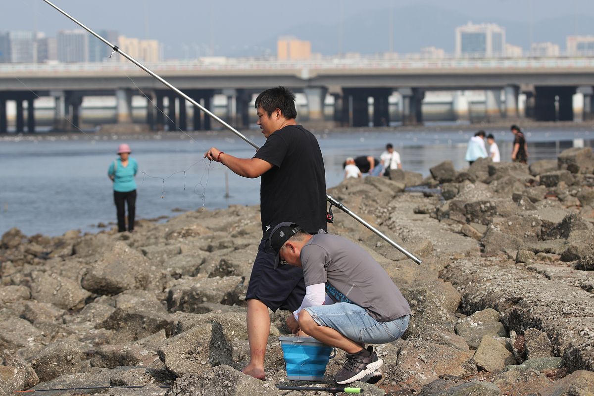 胶州职业中等专业学校2021招生简章