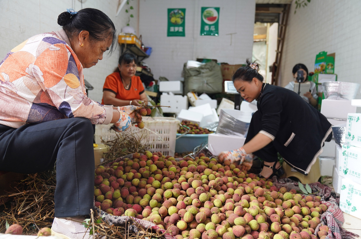 电商助农：广西那坡百香果摆脱滞销困境