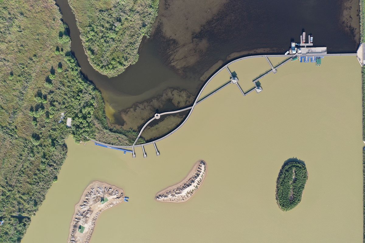 2019年8月29日,山东东营市黄河口生态湿地.航拍初秋黄河口生态湿地,黄