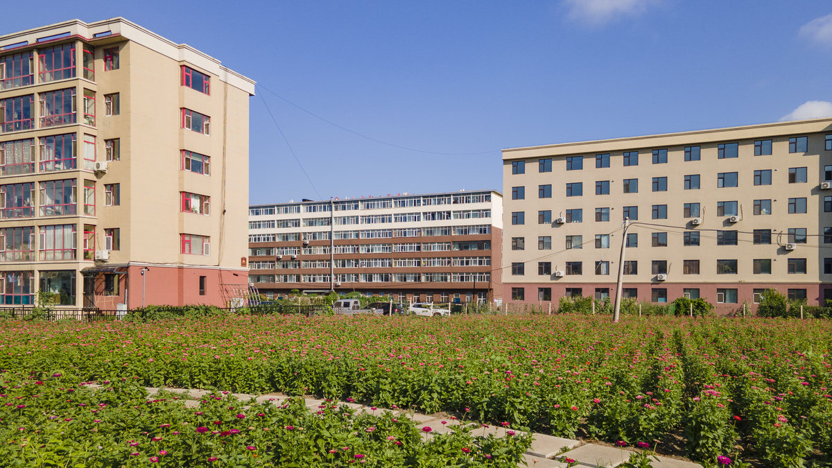 黑龙江农业工程职业学院：农业工程专业学习的理想选择