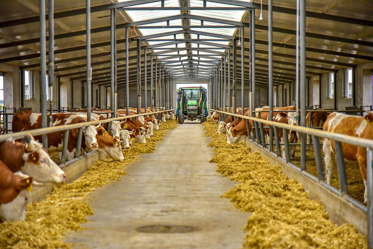 改写：对于部分村庄还可发展畜牧业