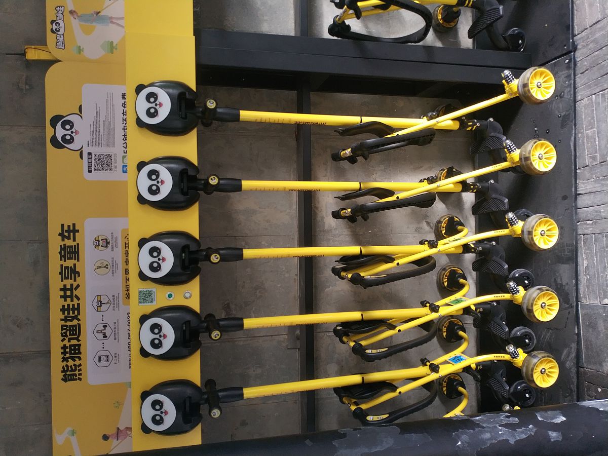 中国承荷探测电缆市场调研报告 - 需求、竞争和未来趋势