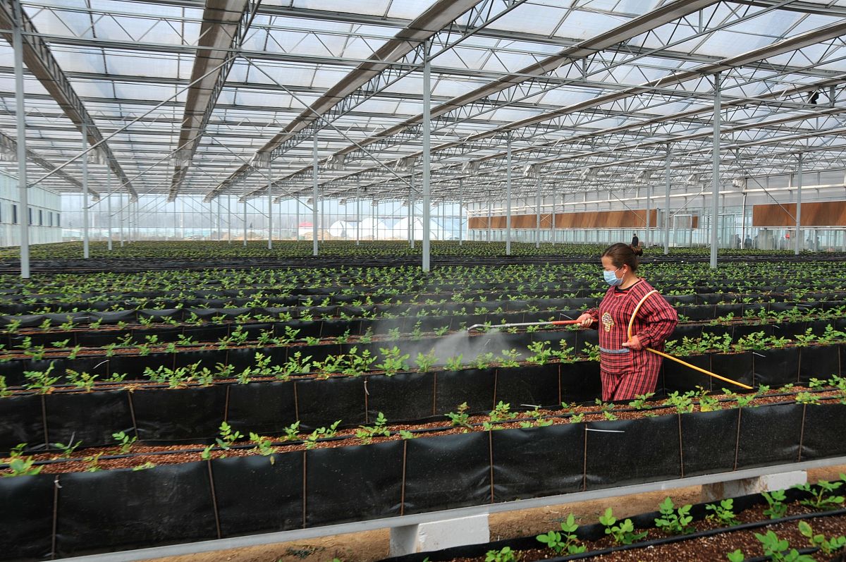 重庆职业学校作物生产技术专业：未来农业人才的选择