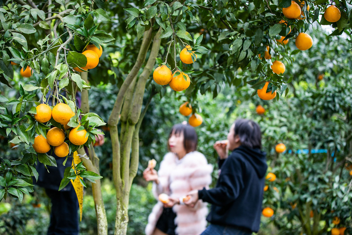 毕节市七星关区中等职业学校有哪些专业信息技术专业就业怎么样