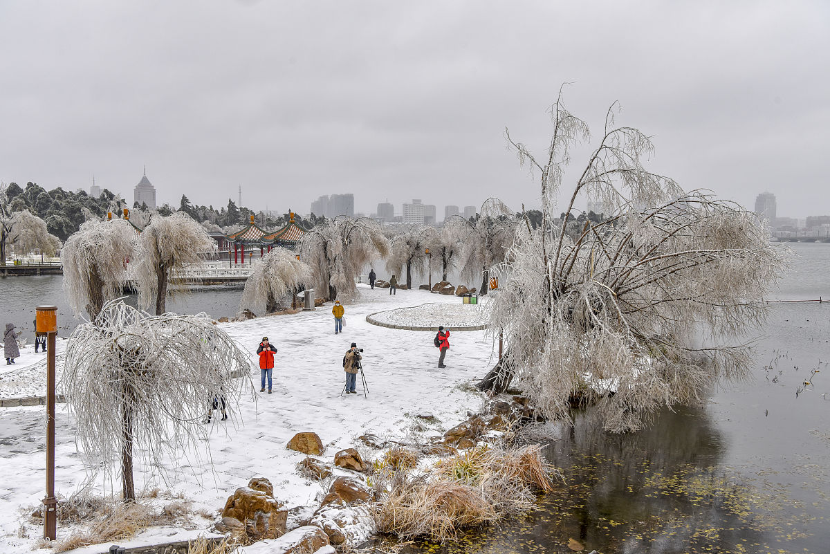 2020年11月20日,一场冻雨加大雪之后,长春整个城市变成水晶世界,南湖