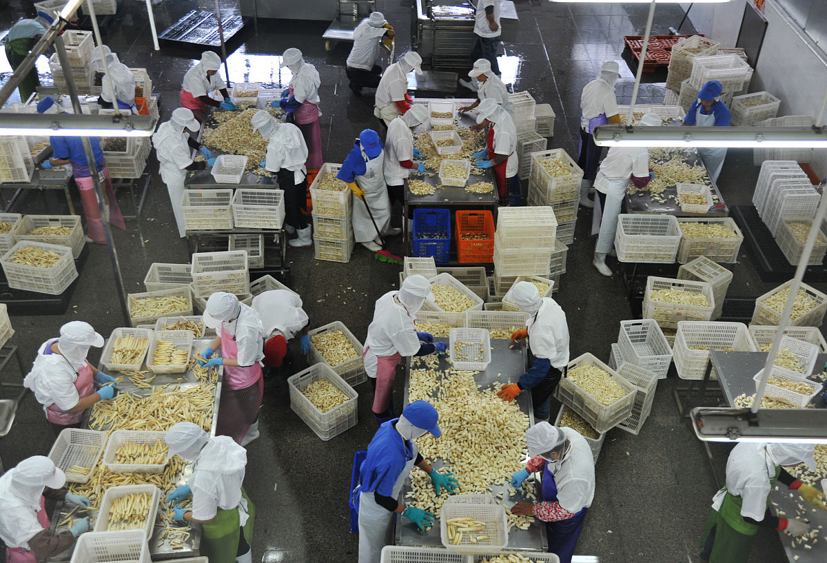 乡镇开加工厂好项目：致富商机与行业建议