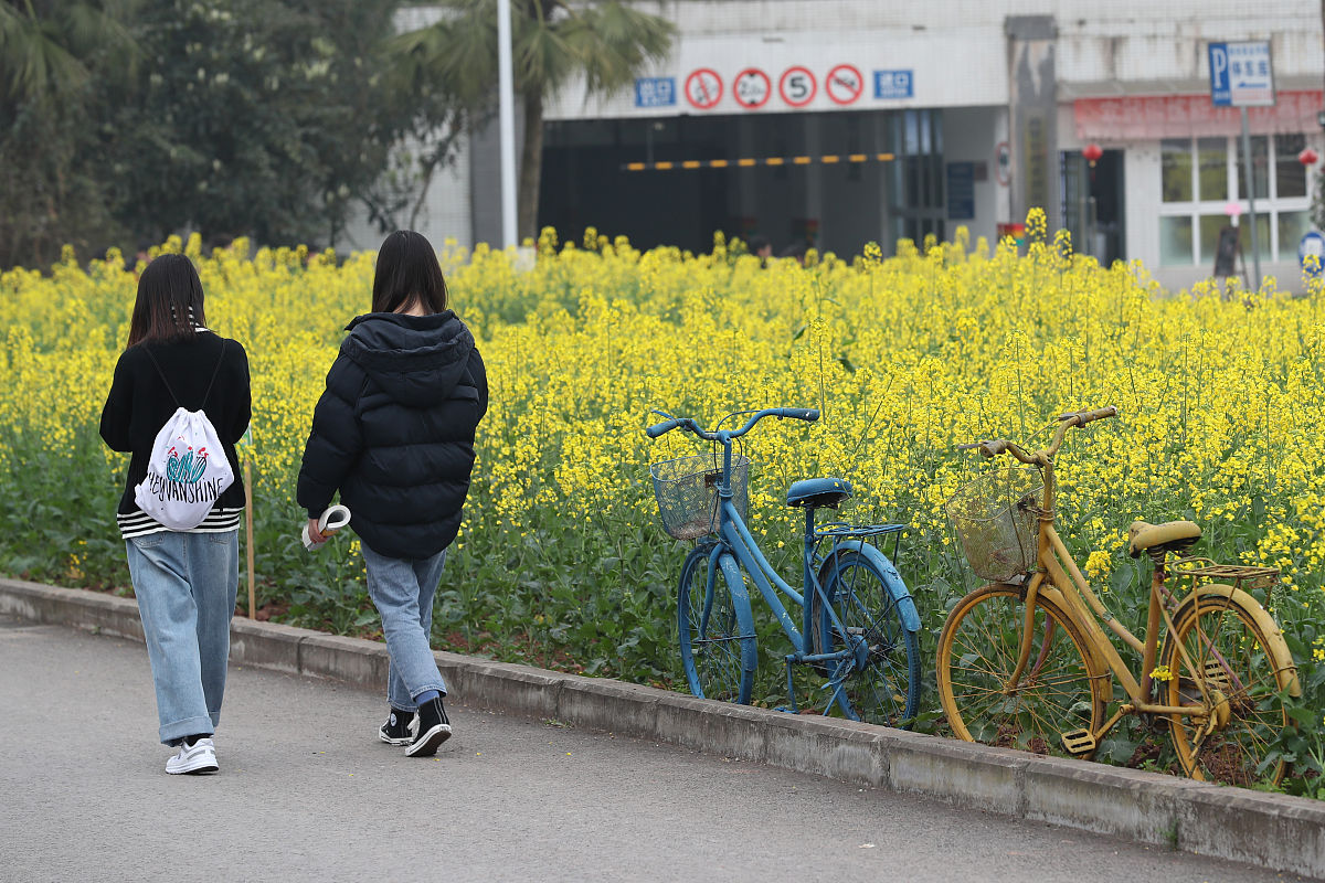 重庆商务学校物流管理专业有3+2五年制大专吗？