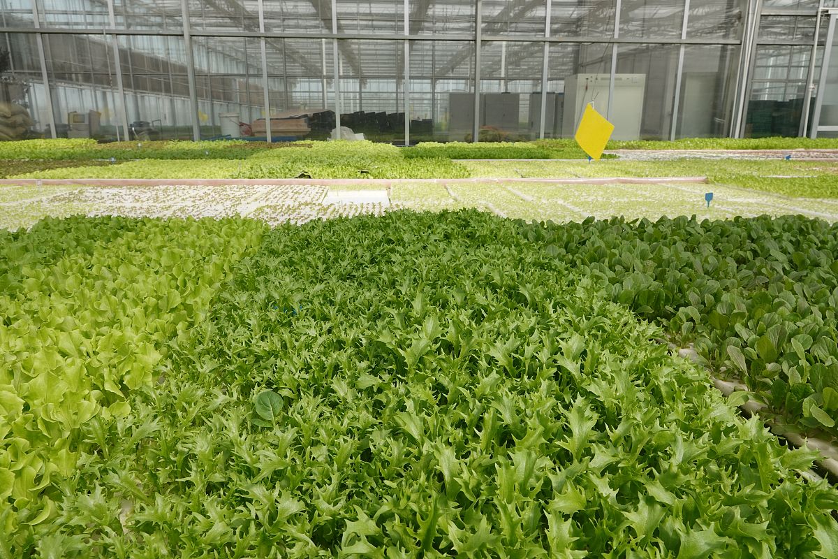 2019年重庆市农业学校生活补贴标准：资助详情