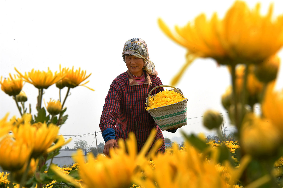 2023年淄博市工业学校招生简章 | 机电、汽车、电子、计算机专业招生
