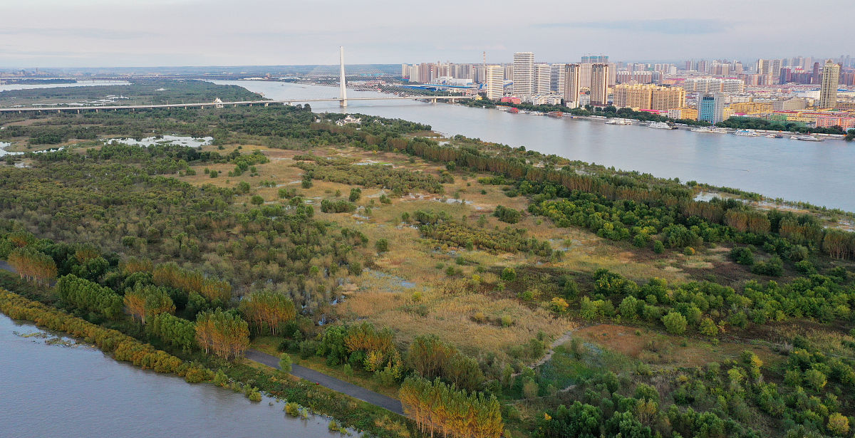 甘肃林业职业技术学院经济管理专业可以选择哪些就业方向