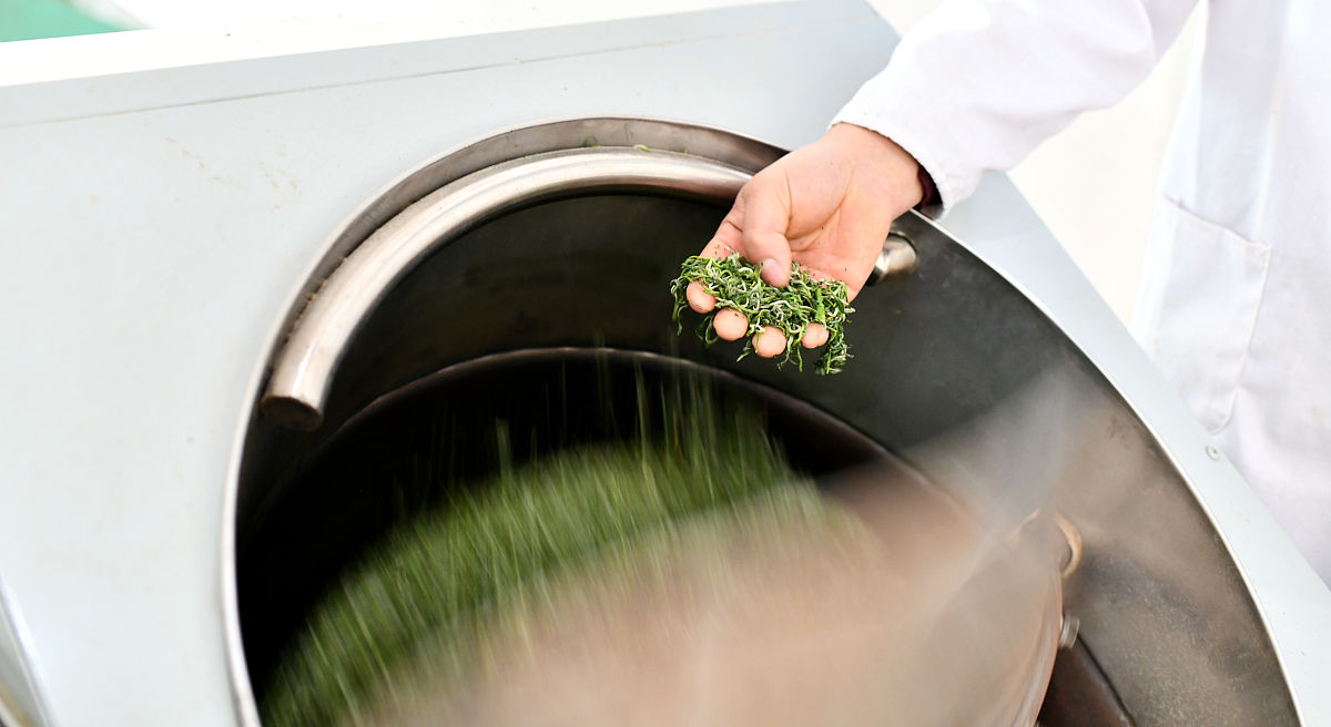 贵州省内贸学校合作社经营管理专业：专业介绍与发展方向