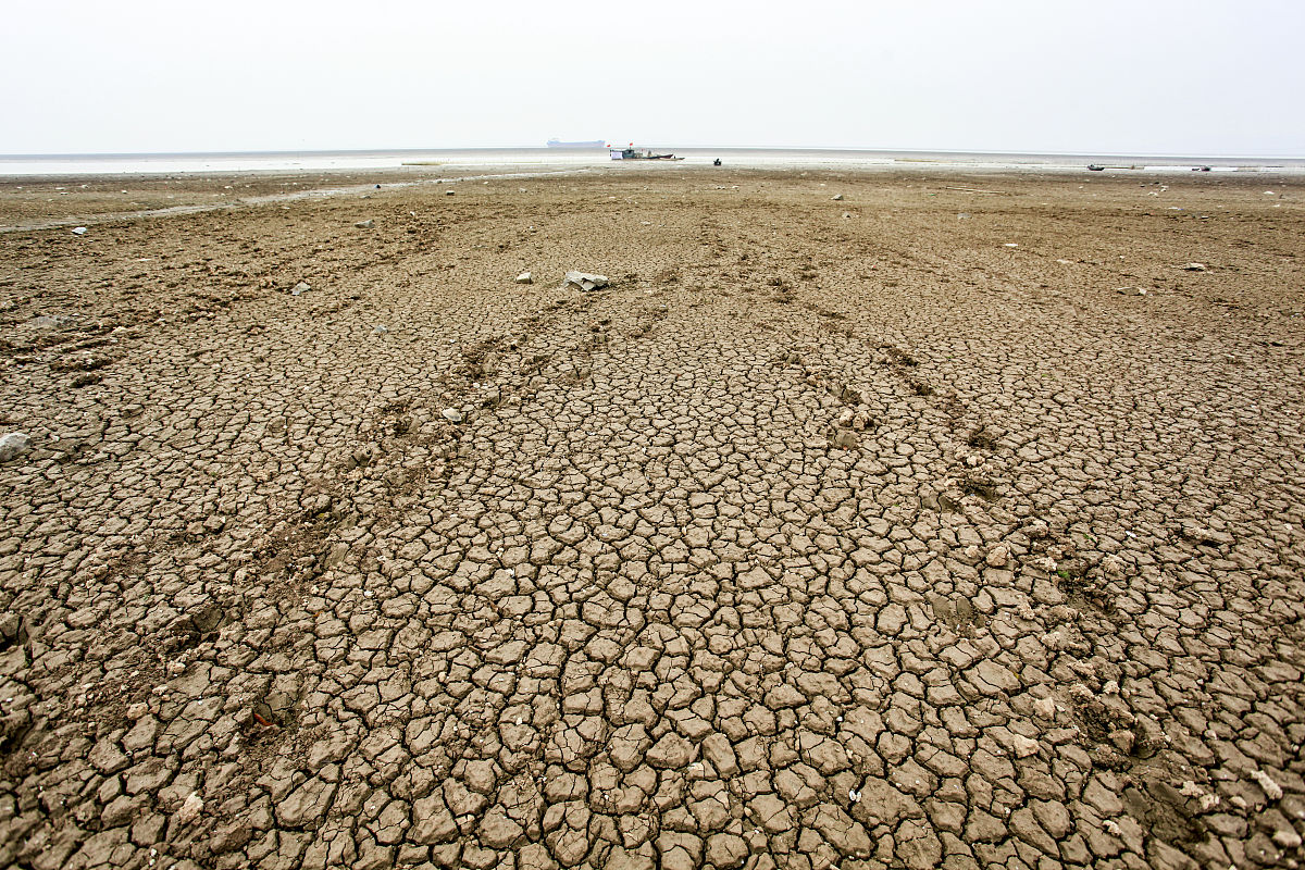 鄱阳湖地区植被含水量下降趋势明显