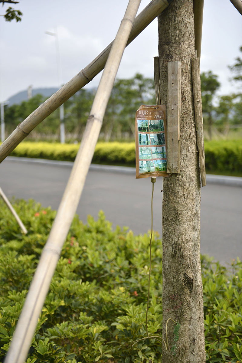 以深港交通为主题 写一段话