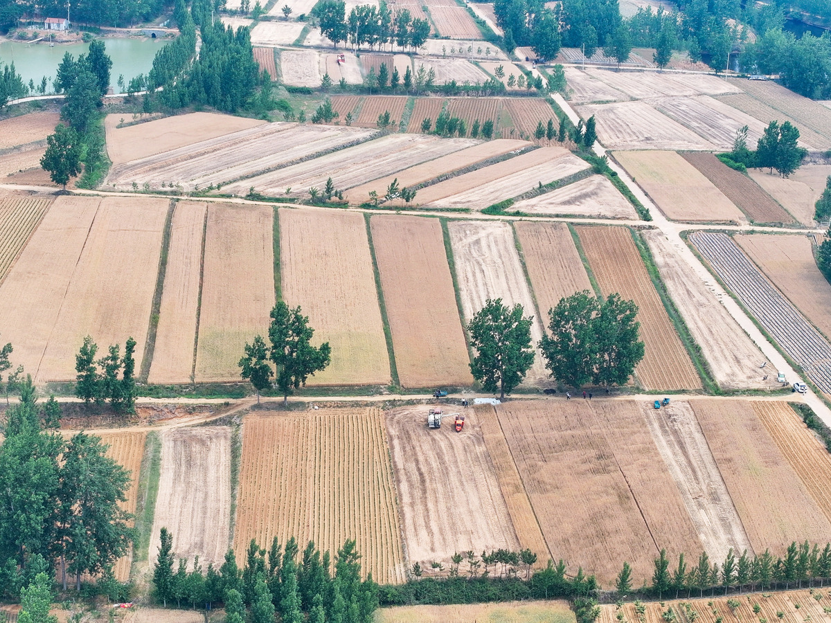 大沟村发展现状及问题分析：机遇与挑战并存
