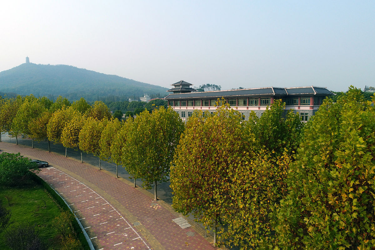 湖北师范学院文理学院学前教育专业:就业前景与发展方向