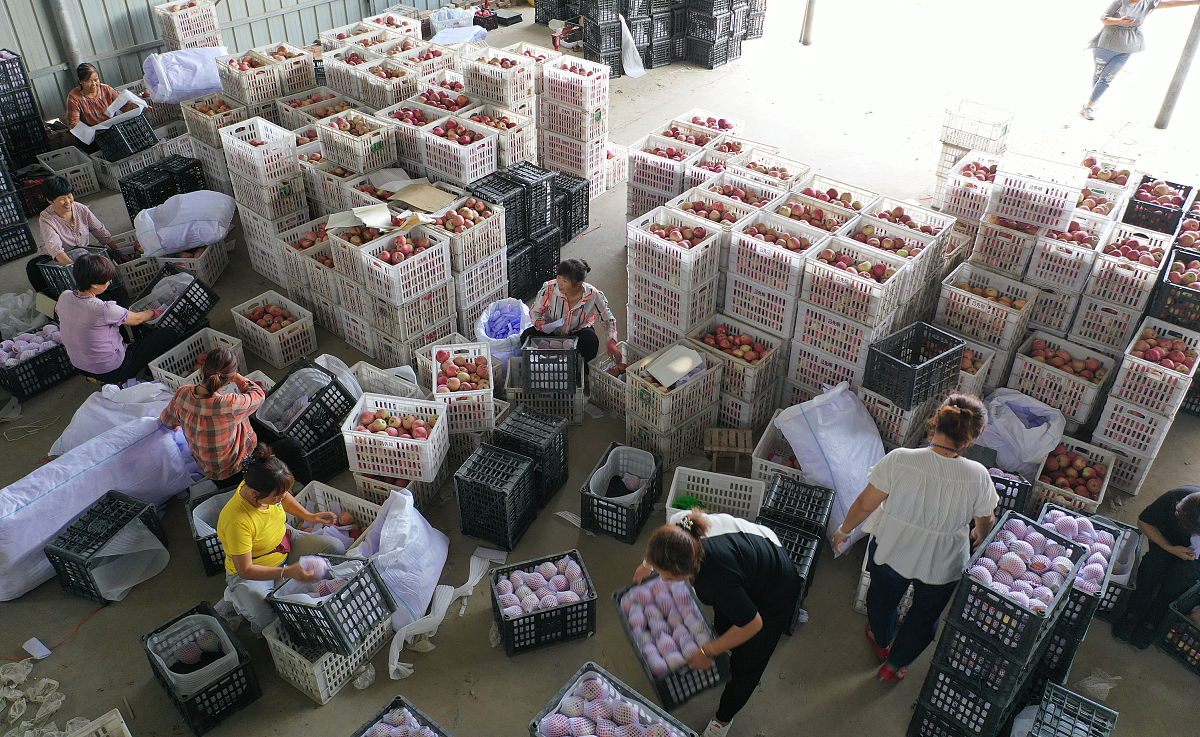 四川2022年中专学校都开设了什么专业