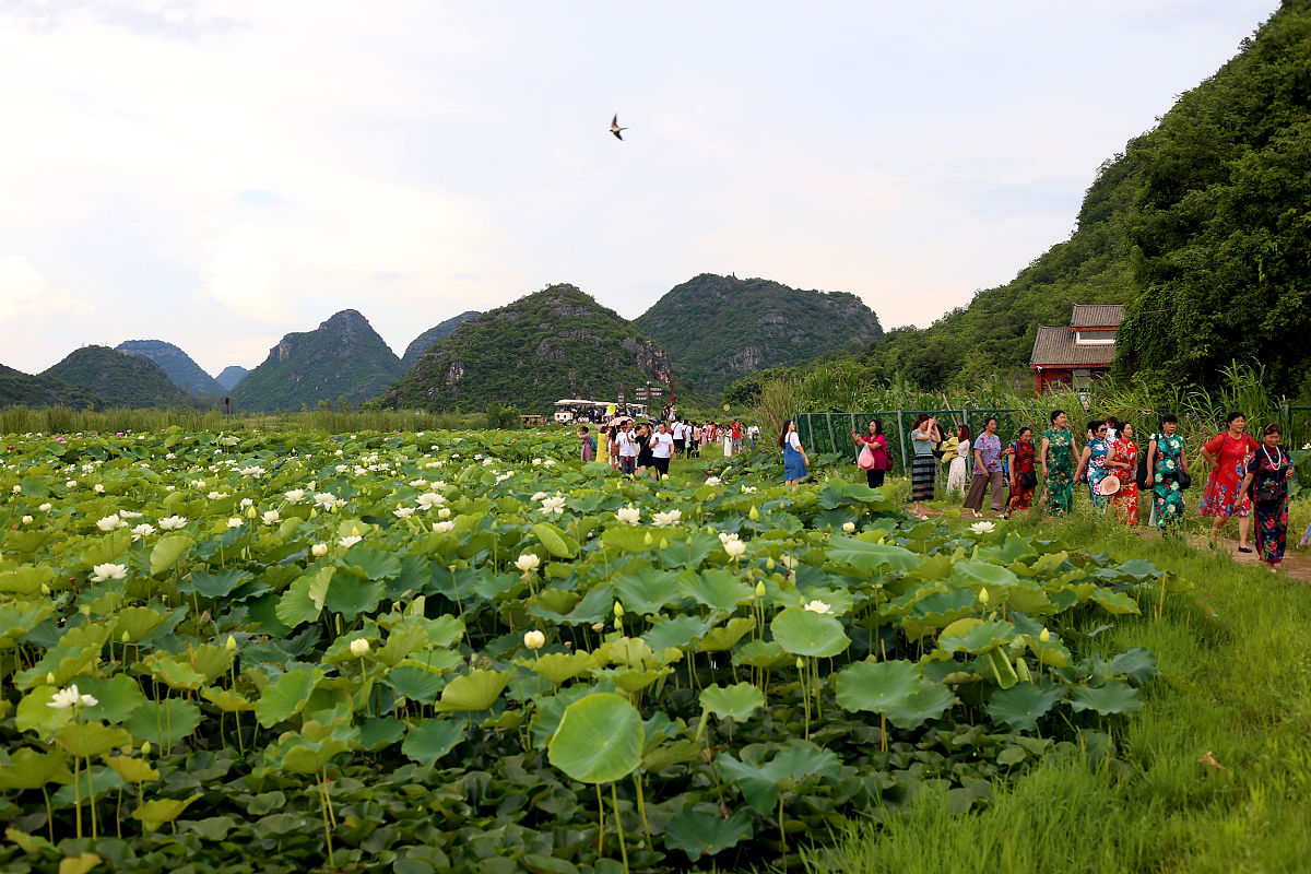 文山州民族职业技术学校2022年有色金属冶炼专业招生简章