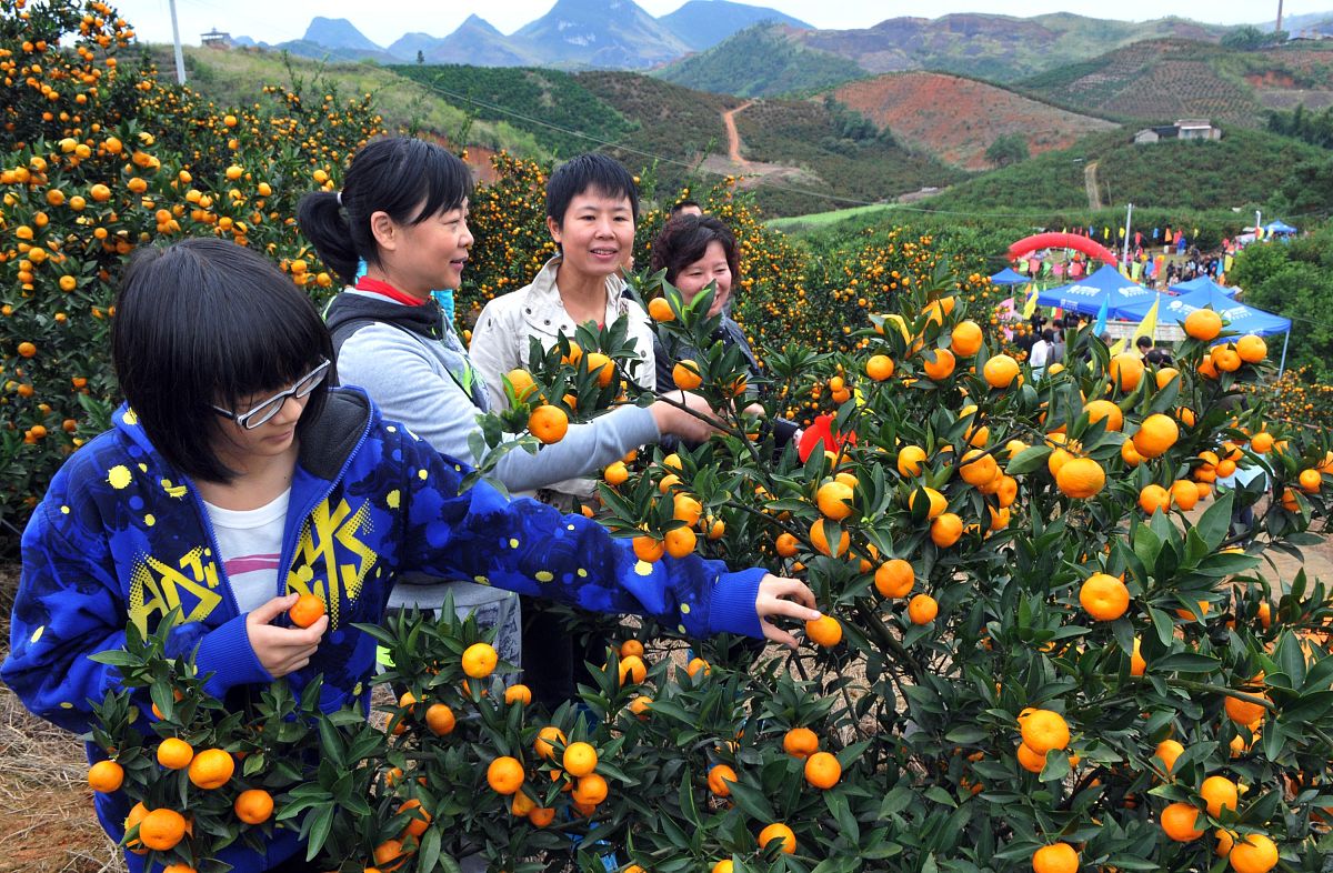 广西生态工程职业技术学院旅游管理专业怎么样？好学吗？
