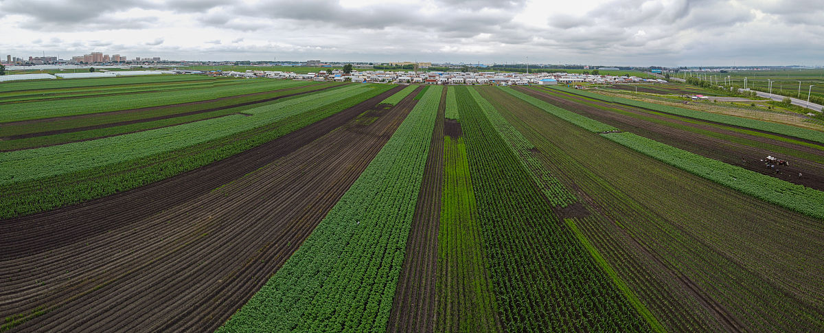 PRECISION AGRICULTURE期刊稿件类型？