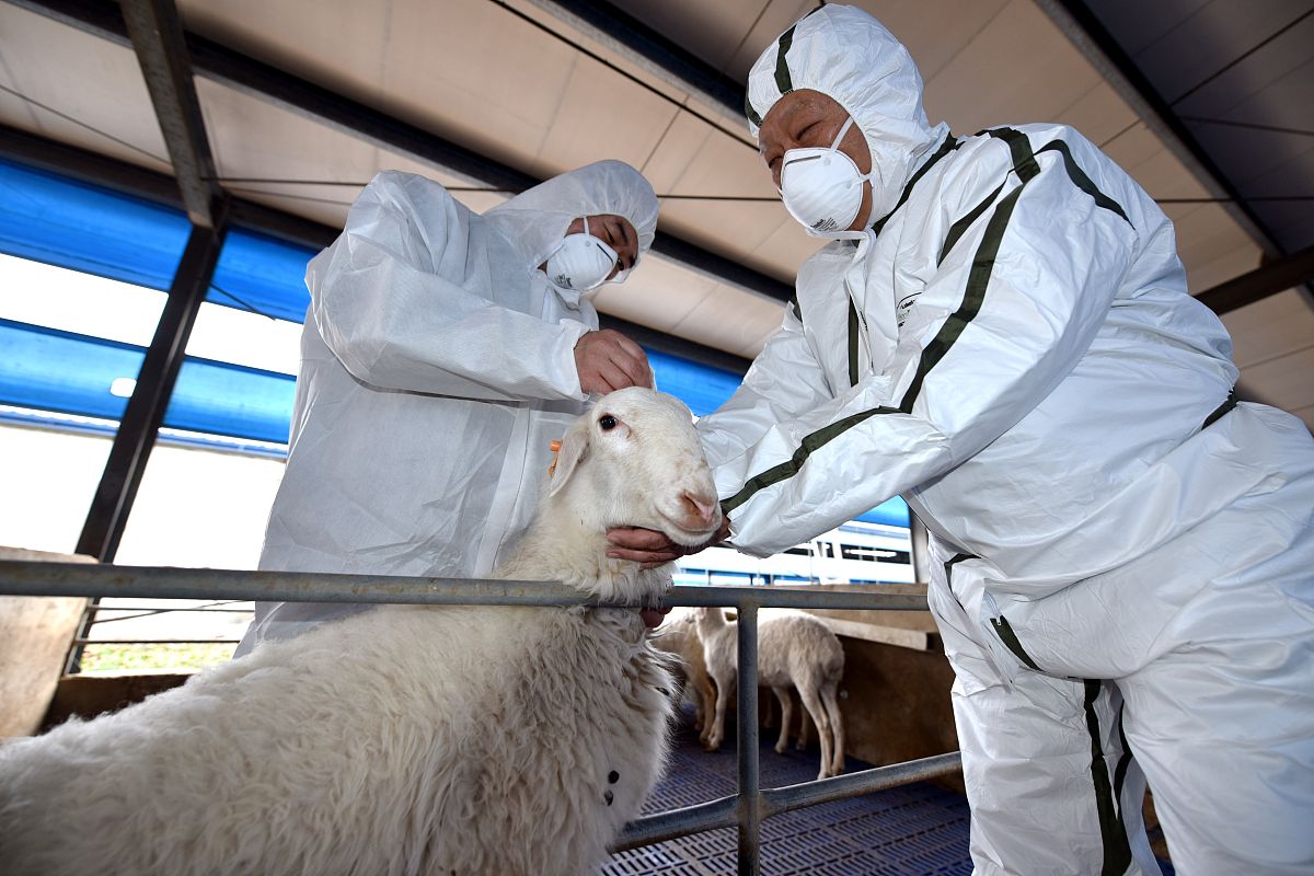 松原职业技术学院畜牧兽医专业怎么样？课程设置及就业前景