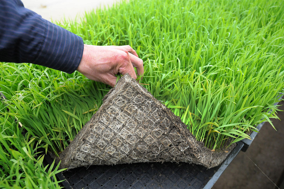 江阴华姿中等专业学校农业机械使用与维护专业怎么样？就业前景如何？