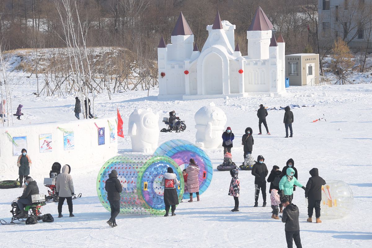 黑龙江民族职业学院五年制大专有高铁乘务专业吗？