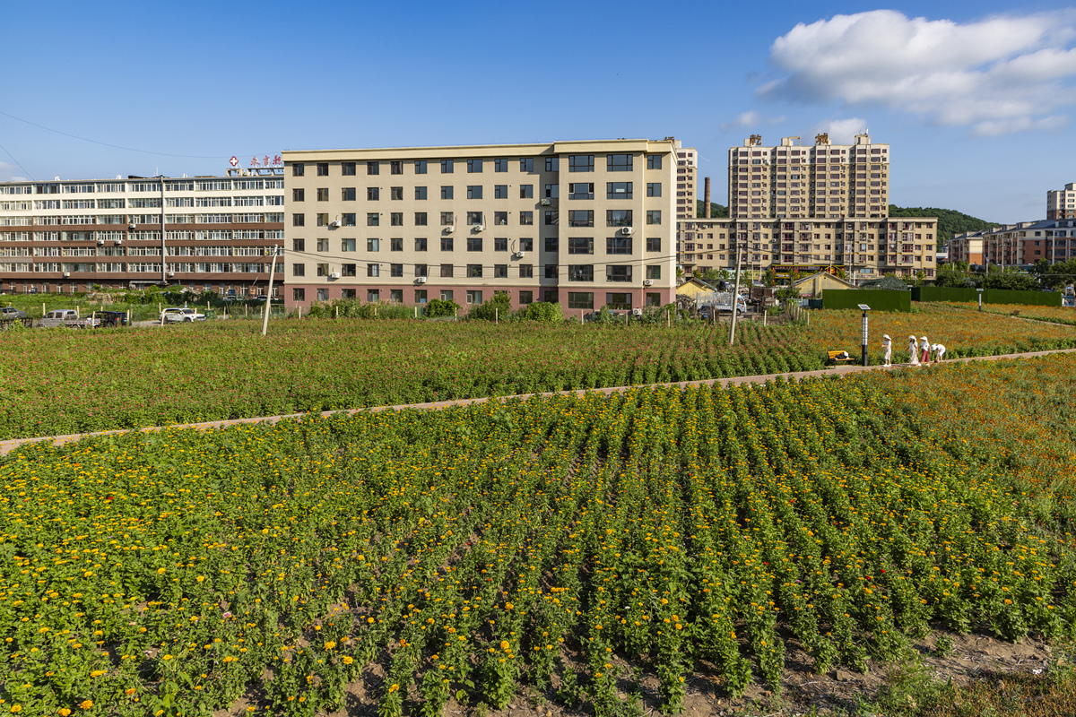 辽宁生态工程职业学院2021年新增专业：环境监测、生态景观等