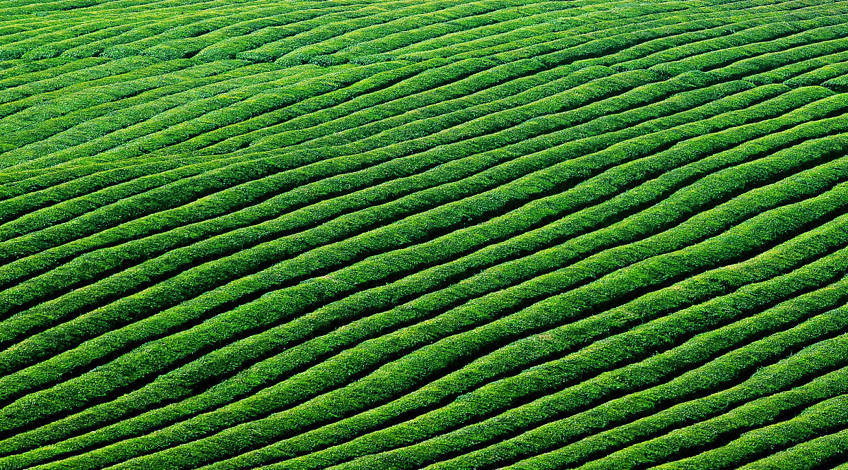 遵义凤冈县高级职业中学招生办电话多少