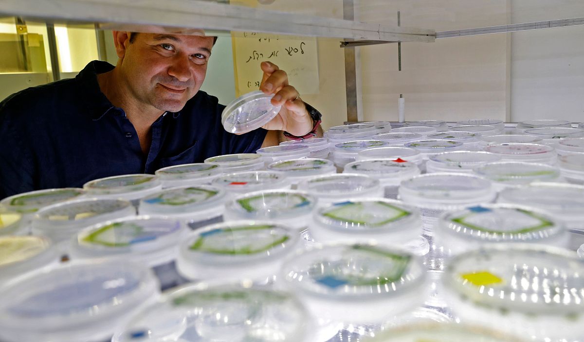 修改句子使其变得通顺：光催化分解水制备氢气的反应因它可以通过将太阳能这种获取成本低的可再生能源转化为方便存储、运输和利用的化学能从而为缓解眼下全球环境保护和能源利用遇到的诸多困难提供许多思路而备受关注