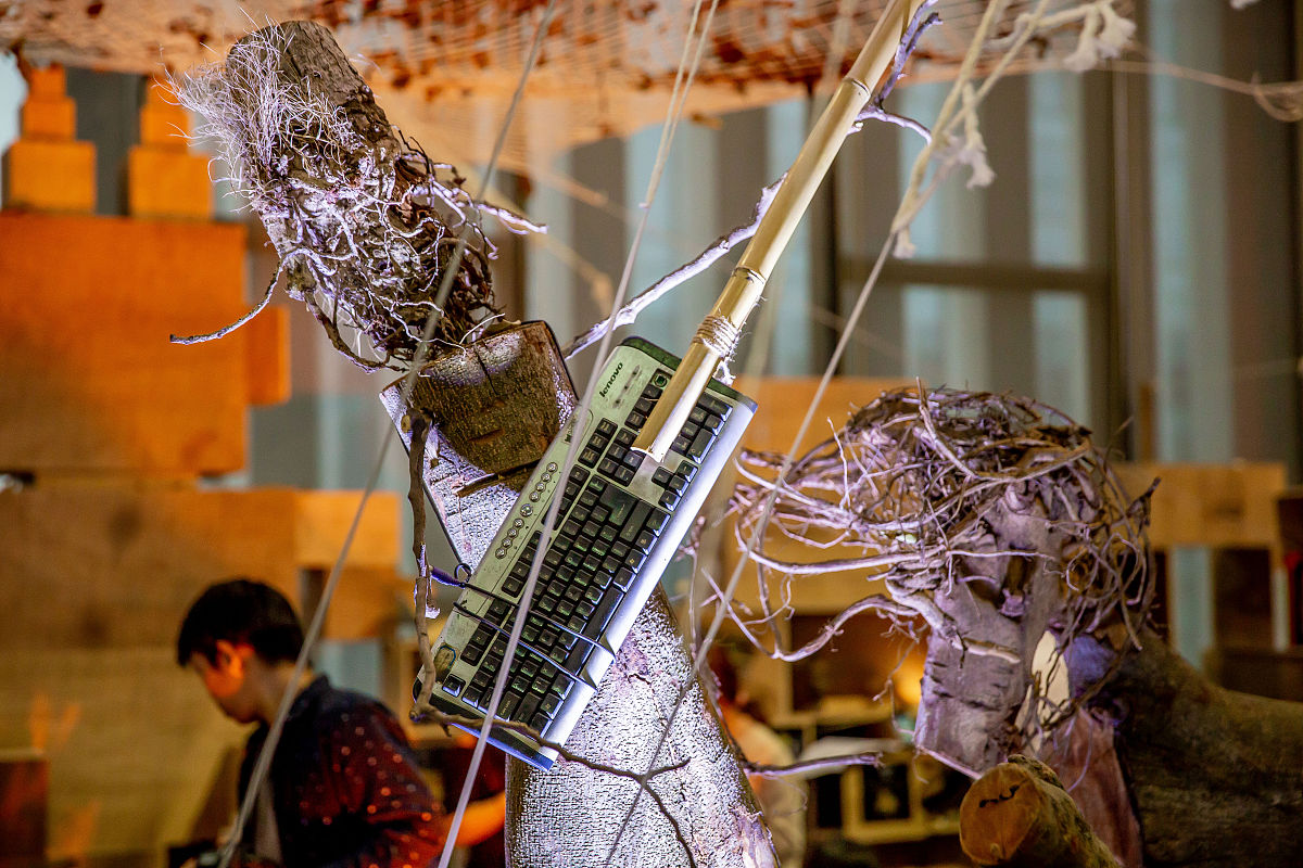 探秘孔雀湾：邂逅多元文化与多彩人生