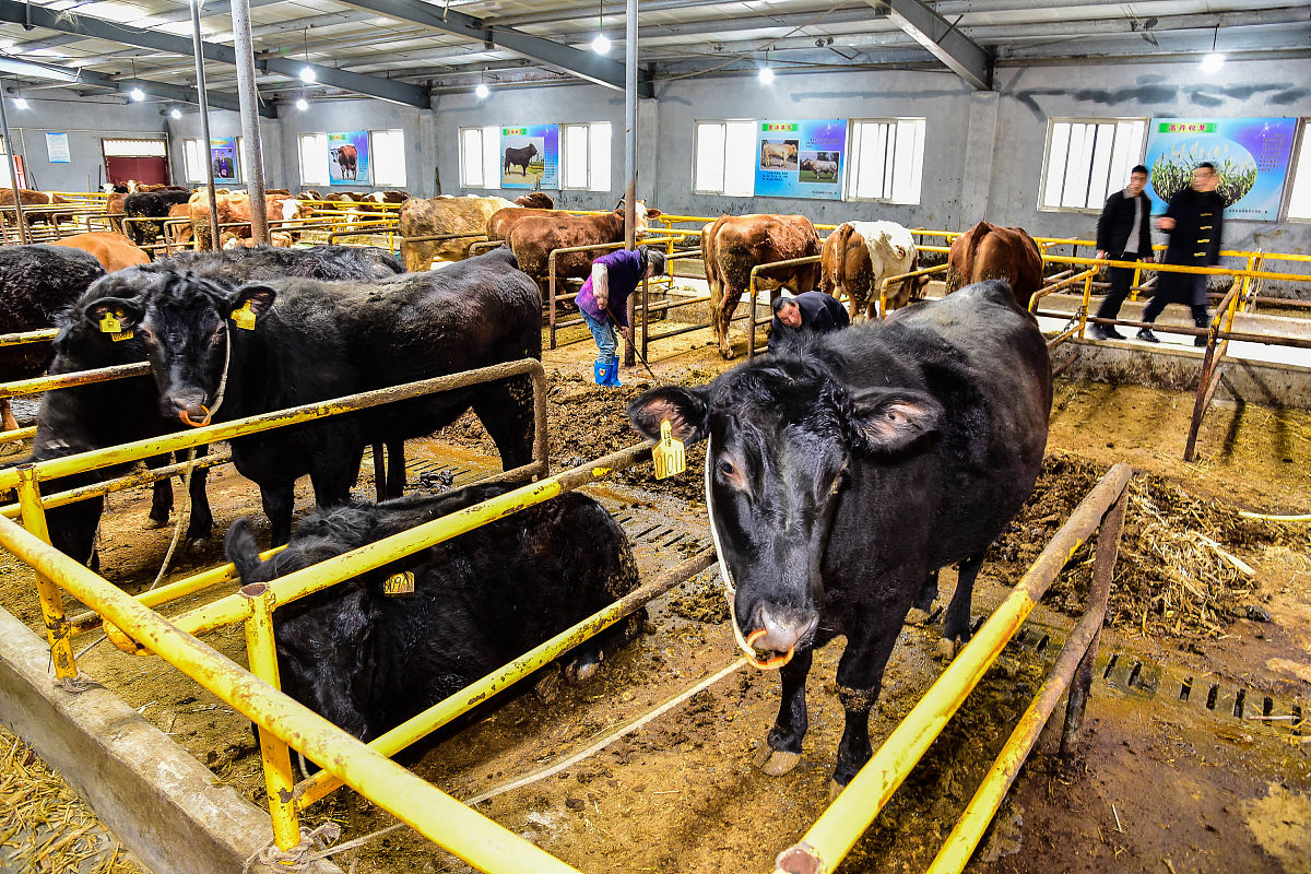 成都铁路机电学校的这些信息你知道多少