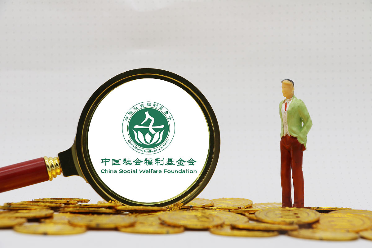 阐述：公益类国有企业概念
