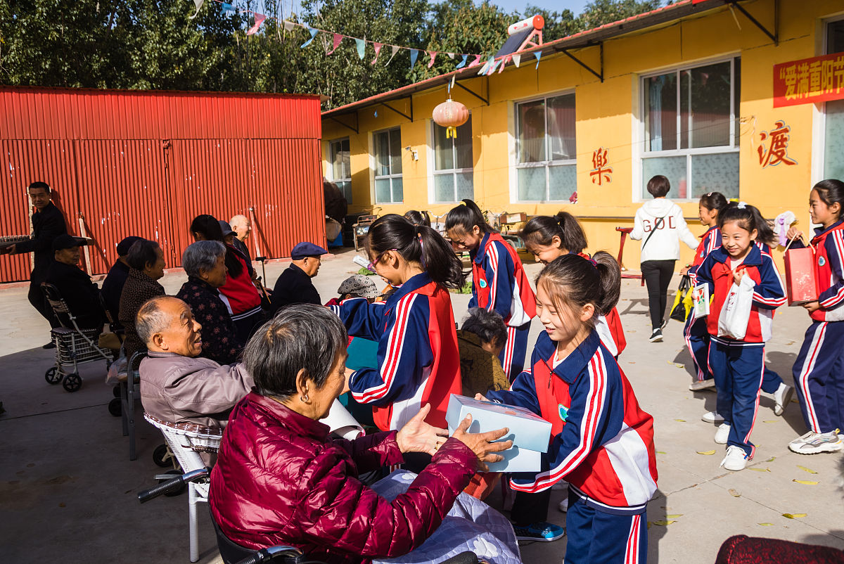 淅川县金河镇彪池小学信用代码是多少回答+拓展