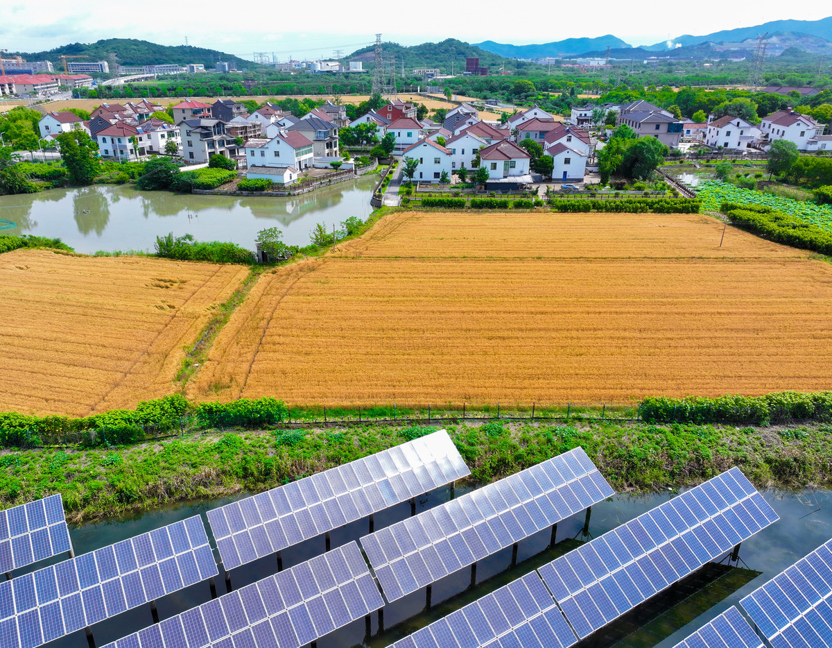 乡村振兴看齐鲁