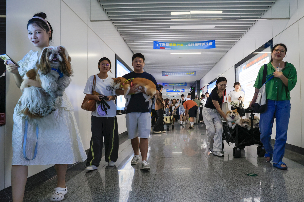 贵州2023年哪所轨道交通学校好-怎么样