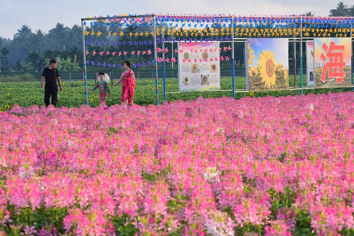 岭南传统民俗文化与当代民俗文化融合：以花海研学旅游项目为例