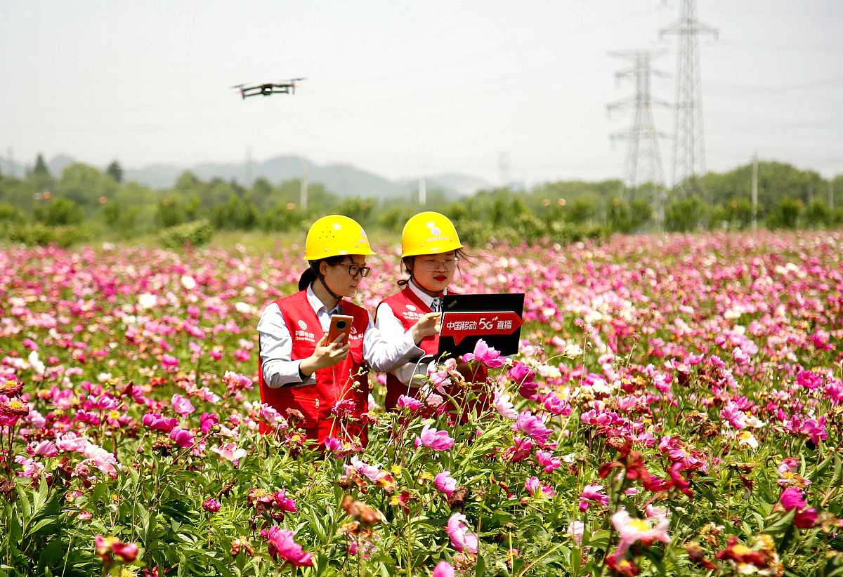 网络安全乡村振兴学习心得：保护信息安全，助力乡村发展