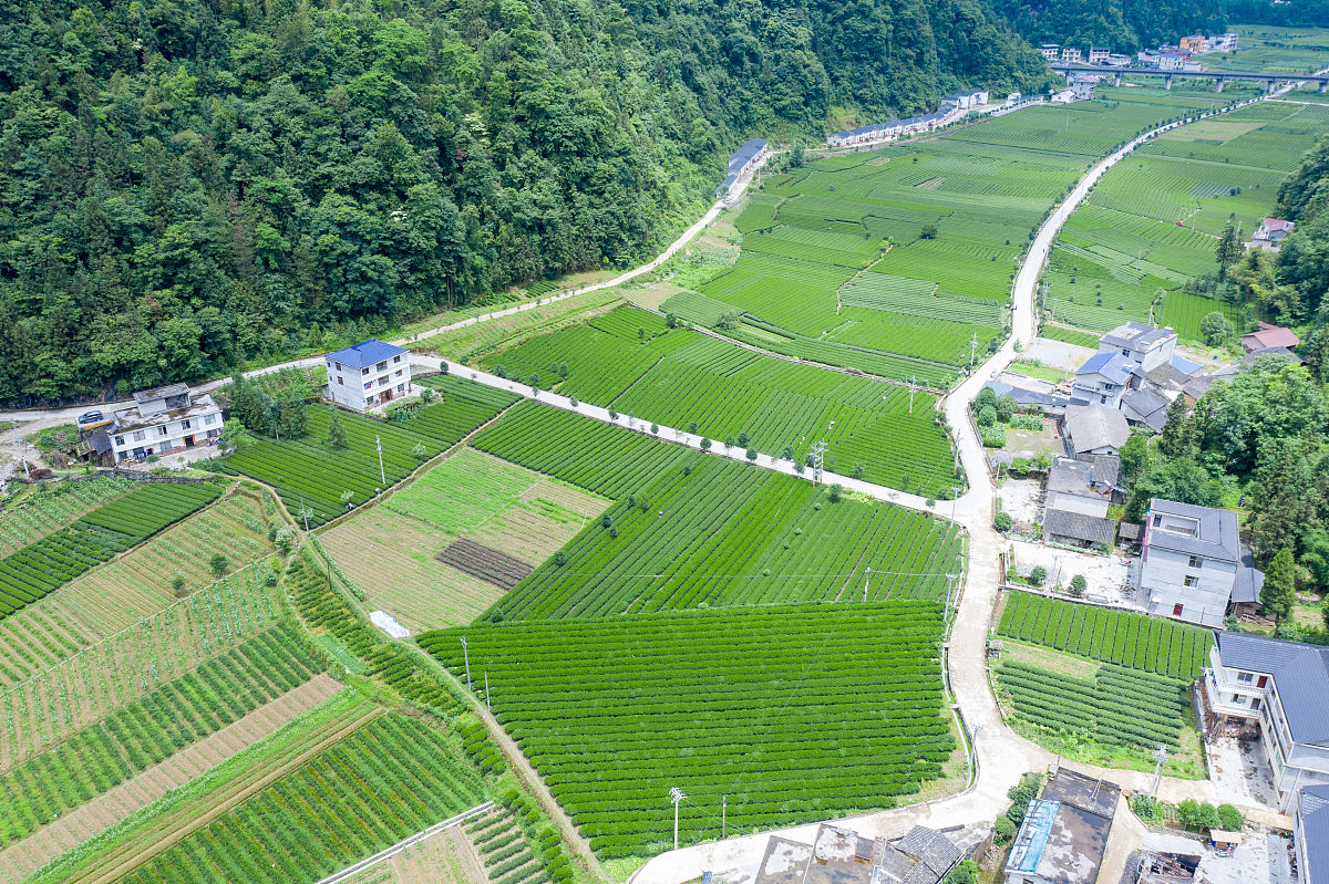 成都铁路乘务学校：未来铁路发展的重要力量