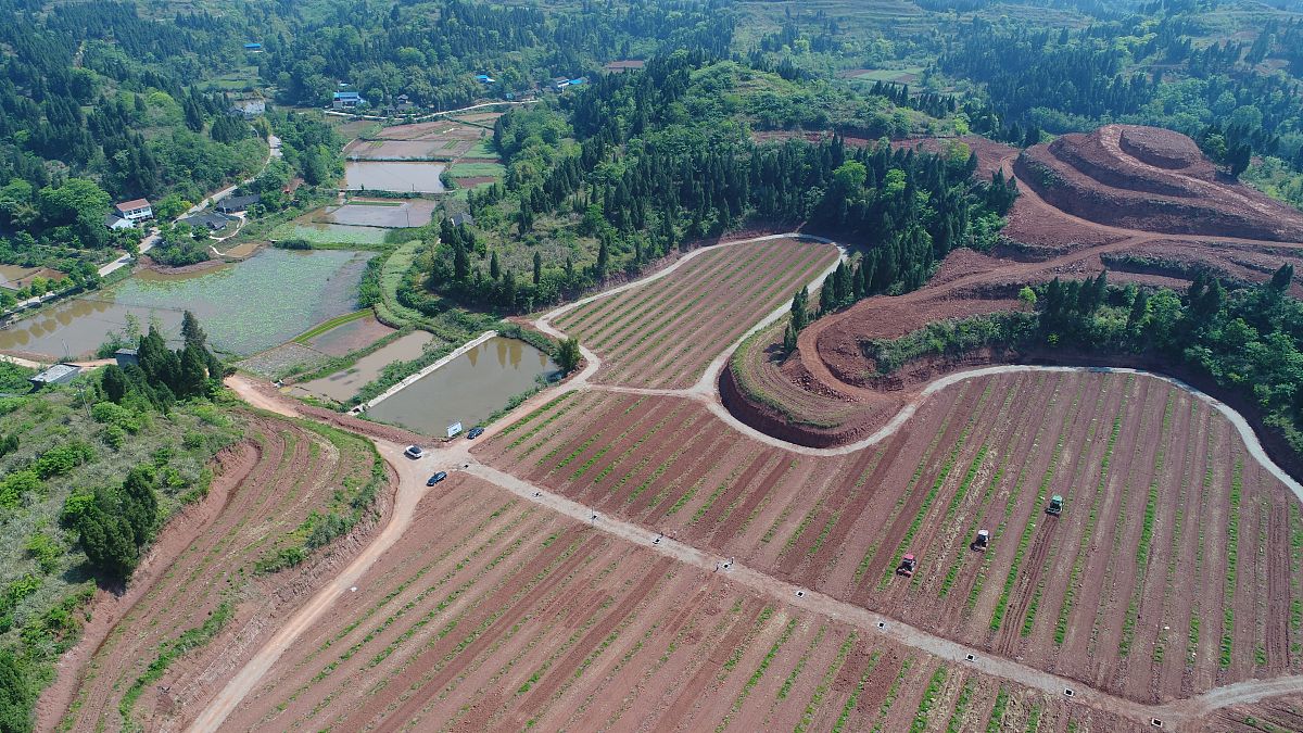 黑龙江农垦职业学院农业装备应用技术专业就业前景及方向