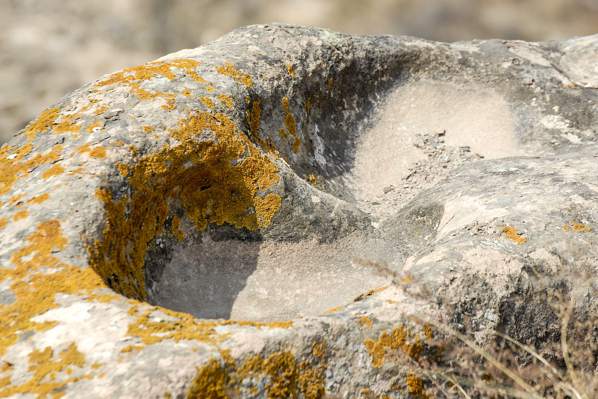 延安中专学校属于什么学历好不好