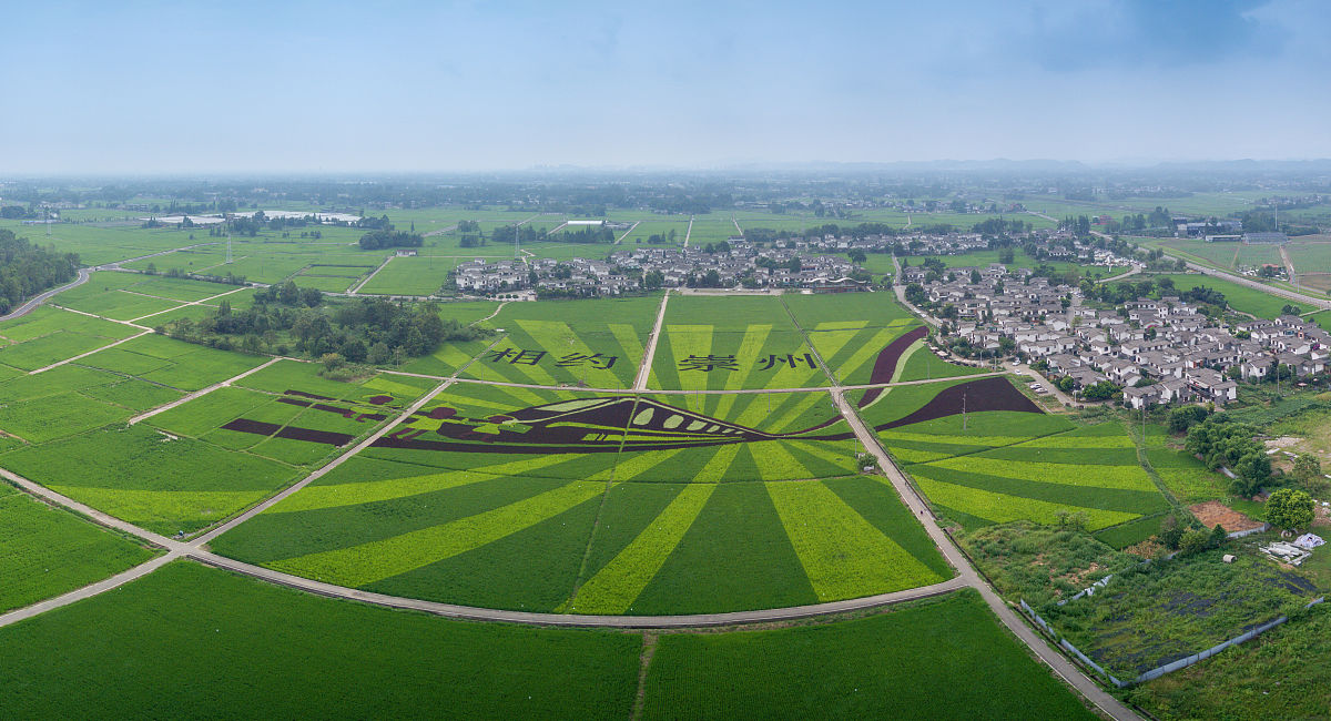 成都2021年上中专需要什么条件