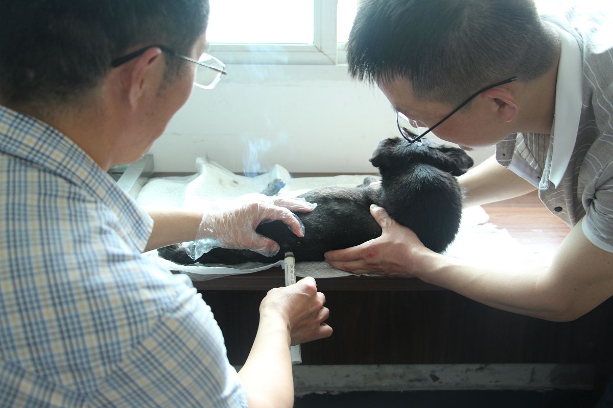 平顶山中医药学校2023年招生专业怎么样