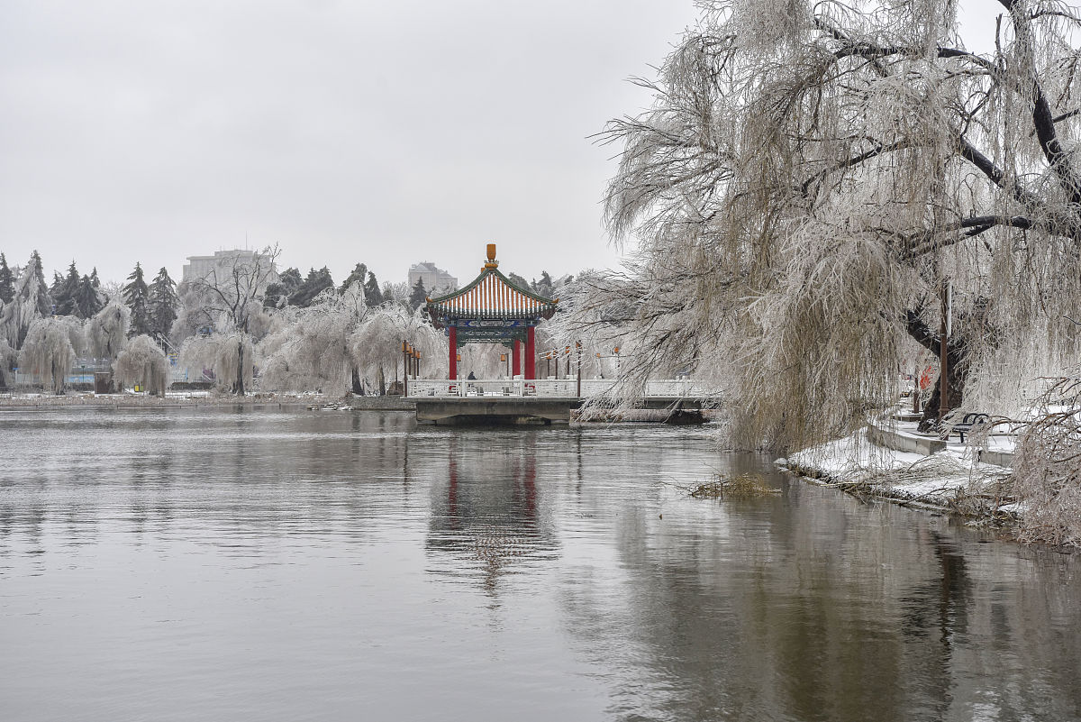 2020年11月20日,一场冻雨加大雪之后,长春整个城市变成水晶世界,南湖