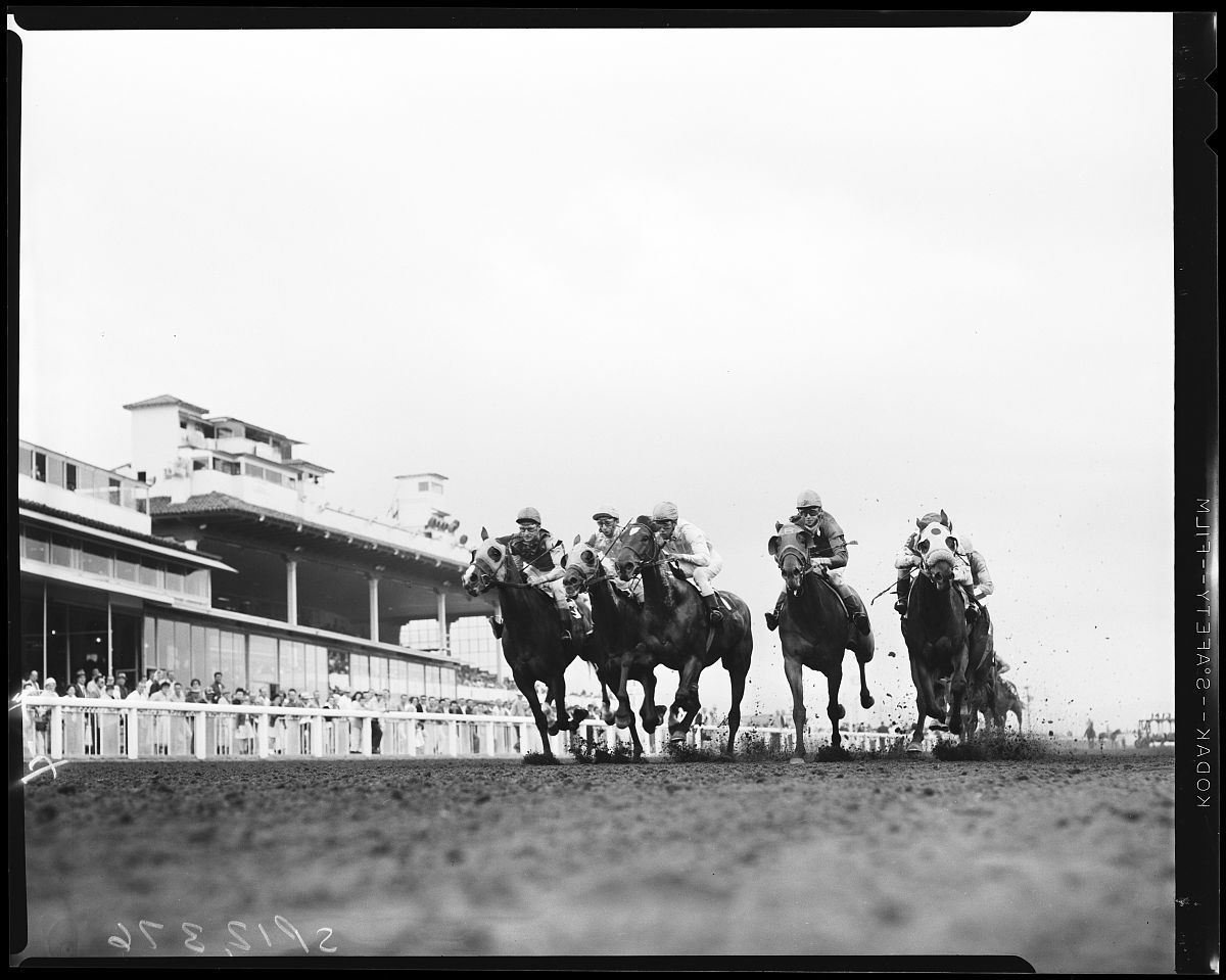 盖氏假单胞菌PG-9对苹果根系内生细菌群落的影响