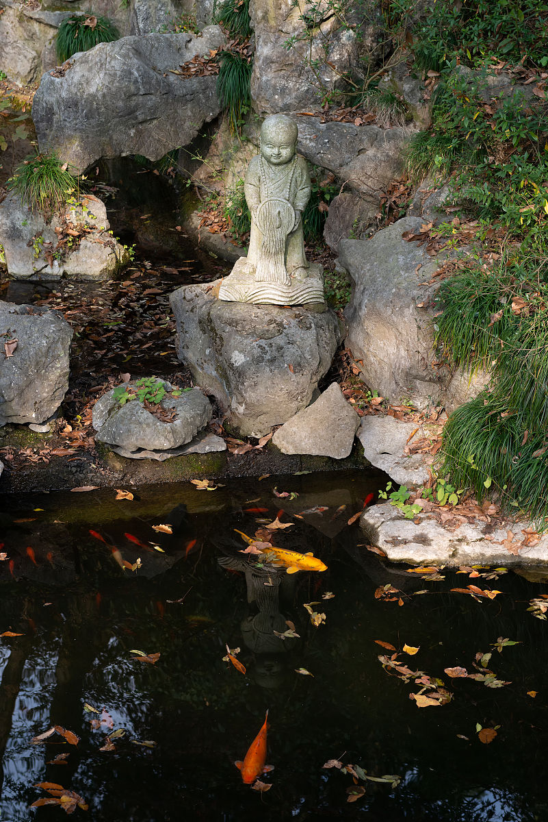 浙江旅拍五日游线路设计：从长沙出发，探寻'翠峰映碧水'的诗意画卷