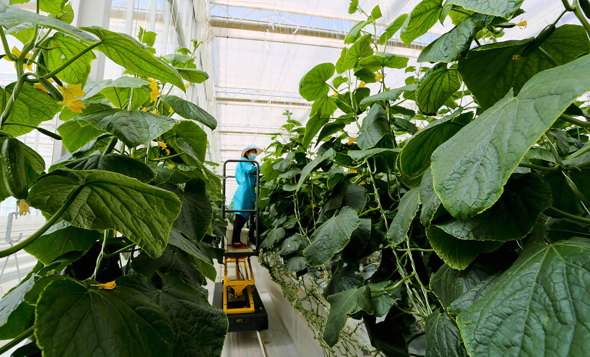 2022甘肃现代农艺技术中专中职学校汇总