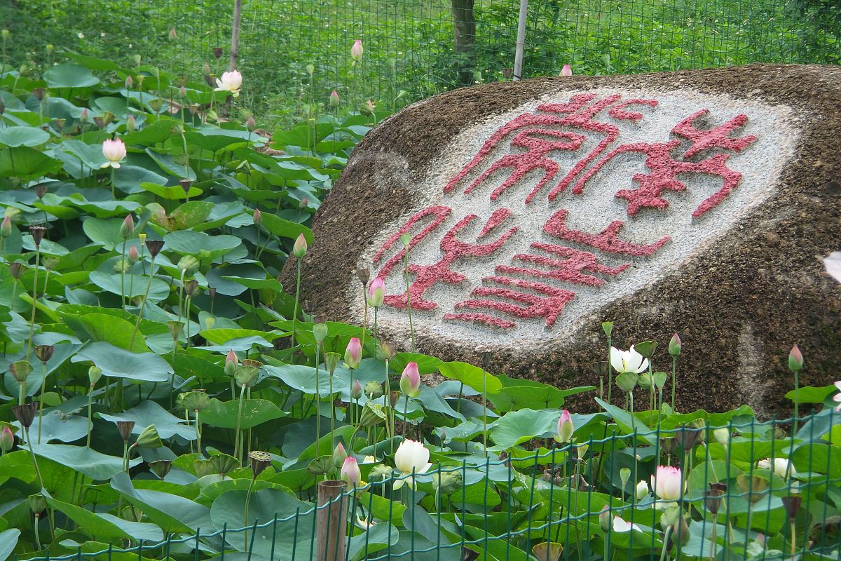 广西贵港珠江理工学校2023年招生简章